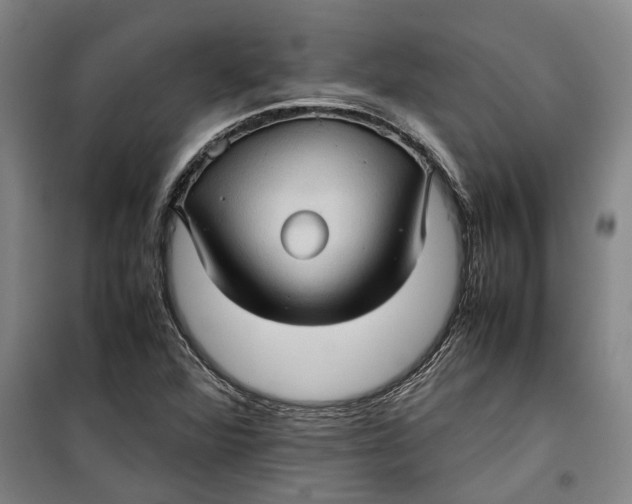 X0000099411360200805301336