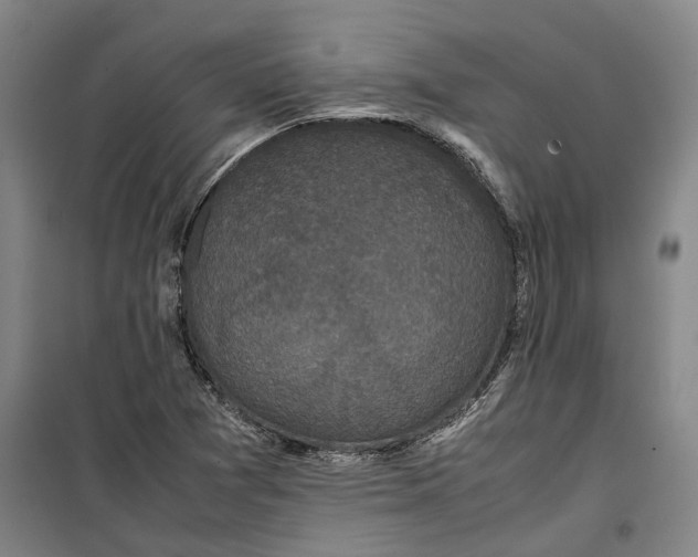 X0000099411361200805301336