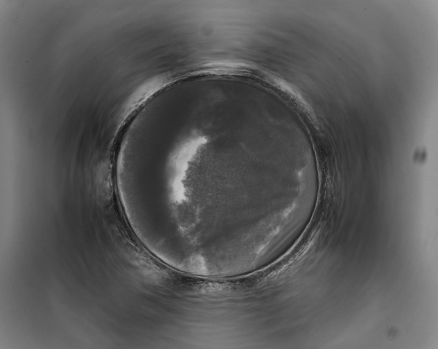 X0000099411362200805301336