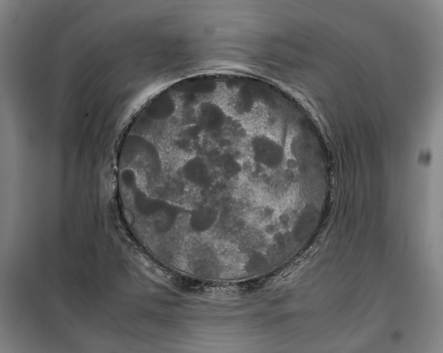 X0000099411363200805301336