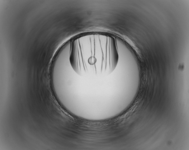 X0000099411364200805301336