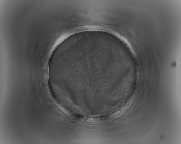 X0000099411365200805301336