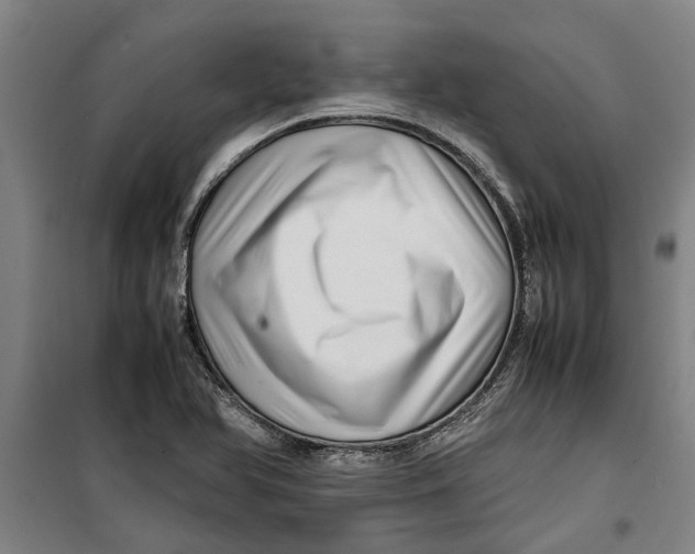 X0000099411366200805301336