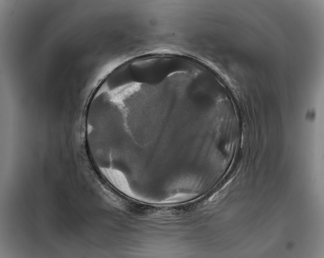 X0000099411367200805301336