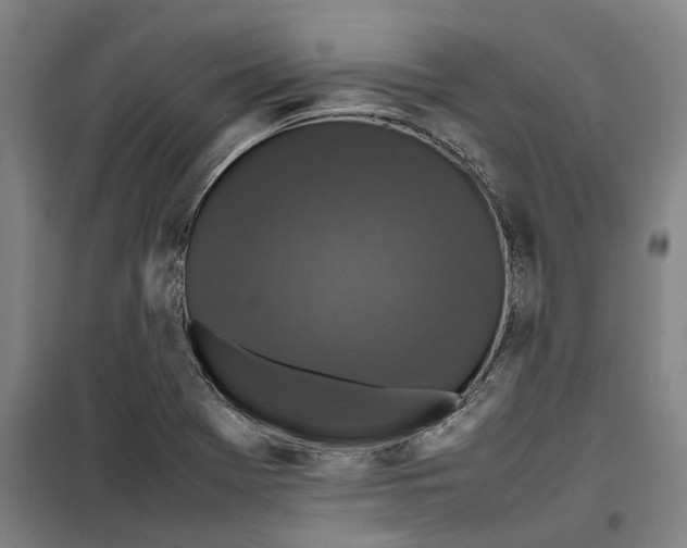 X0000099411369200805301336