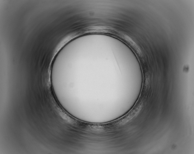 X0000099411370200805301336