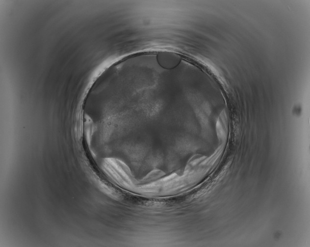 X0000099411371200805301336