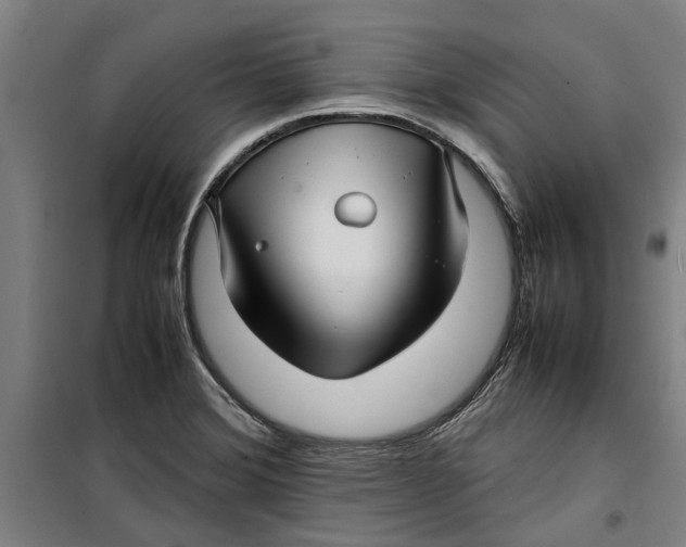 X0000099411372200805301336