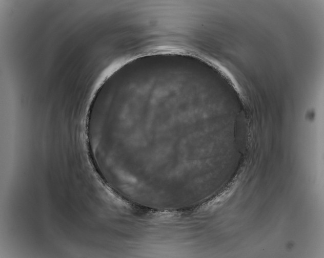 X0000099411373200805301336