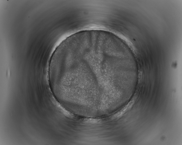 X0000099411374200805301336