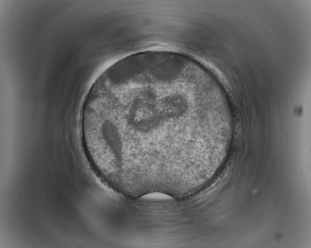 X0000099411375200805301336