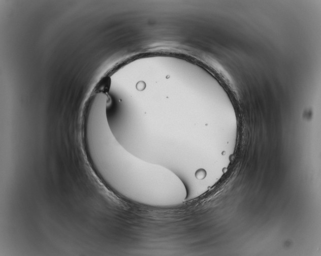 X0000099411376200805301336