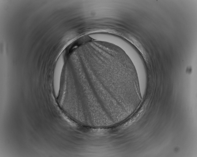 X0000099411377200805301336