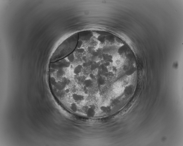 X0000099411379200805301336