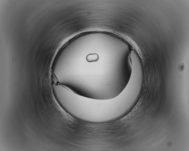 X0000099411380200805301336