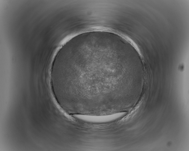 X0000099411381200805301336