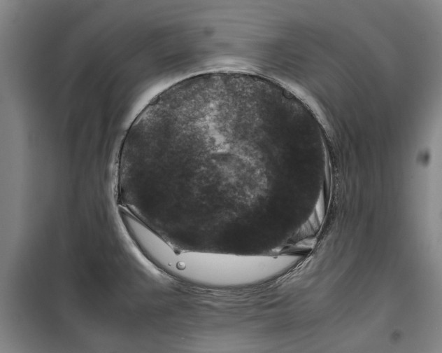 X0000099411383200805301336