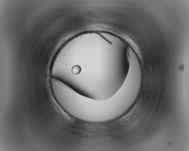 X0000099411384200805301336