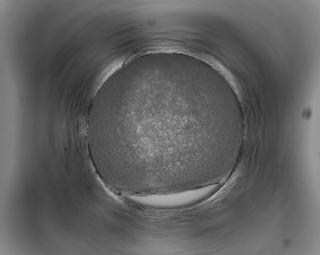 X0000099411385200805301336