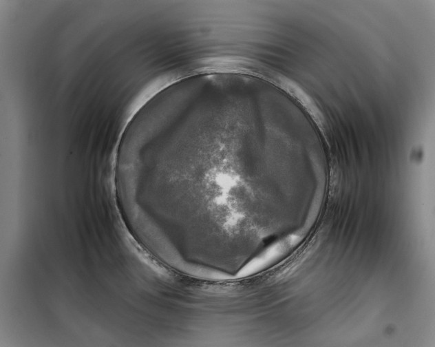 X0000099411386200805301336