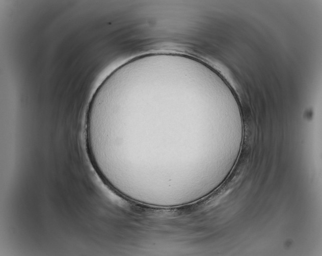 X0000099411387200805301336