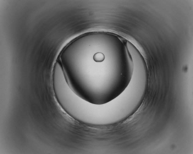 X0000099411388200805301336