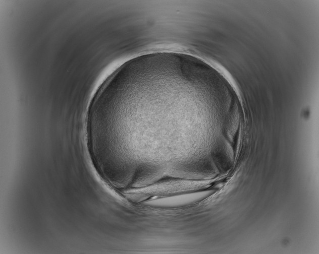 X0000099411389200805301336