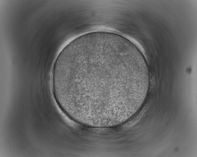 X0000099411391200805301336