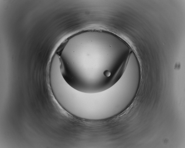 X0000099411392200805301336