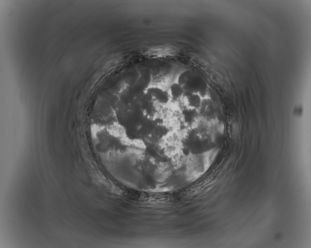 X0000099411393200805301335