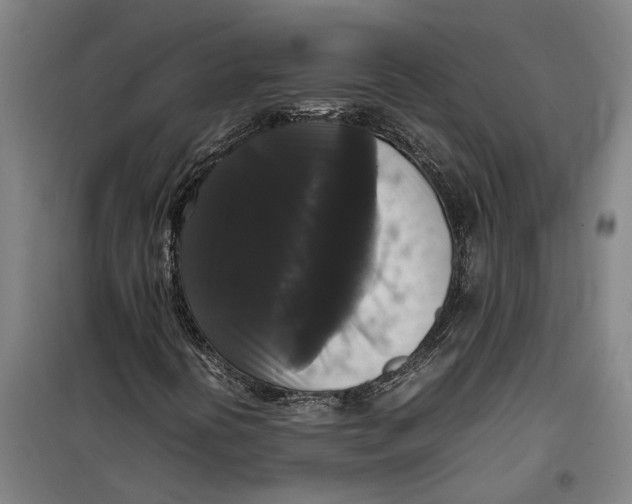 X0000099411394200805301335