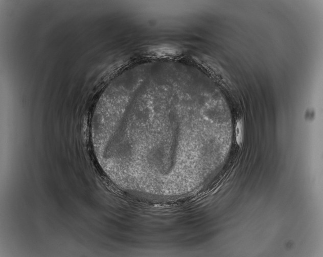 X0000099411395200805301335