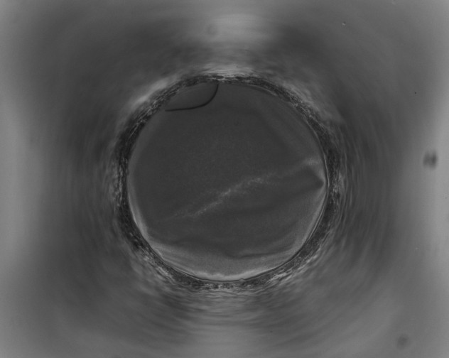 X0000099411398200805301335