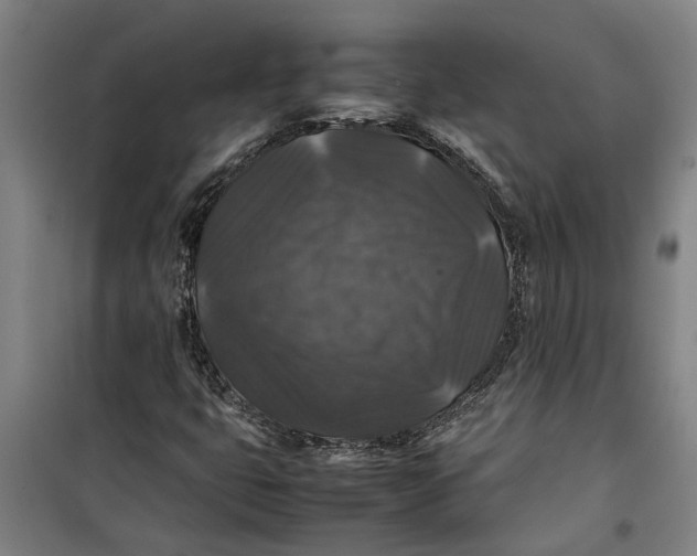 X0000099411399200805301335