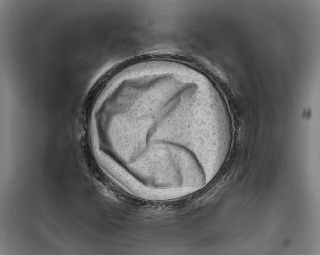 X0000099411400200805301335