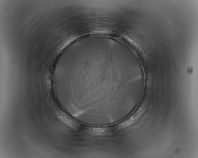 X0000099411401200805301336