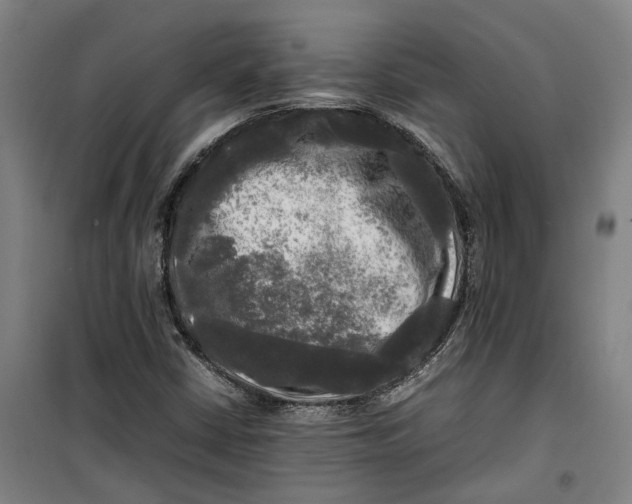 X0000099411402200805301336