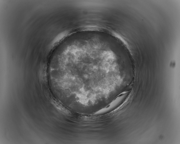 X0000099411403200805301336