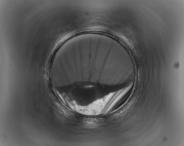 X0000099411405200805301336