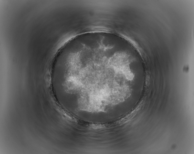 X0000099411407200805301336