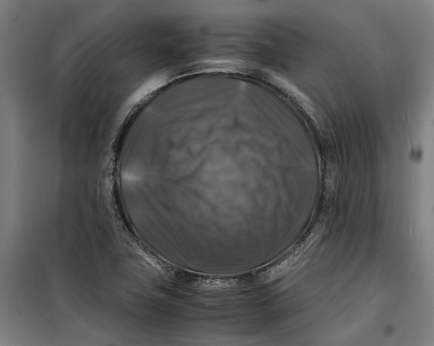 X0000099411411200805301336