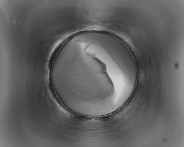 X0000099411414200805301336