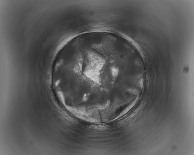 X0000099411415200805301336