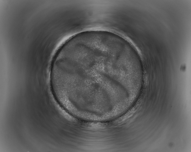 X0000099411416200805301336