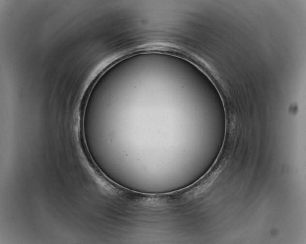 X0000099411418200805301336