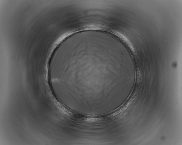 X0000099411419200805301336