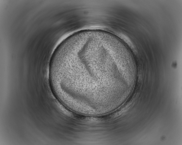 X0000099411420200805301336