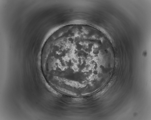 X0000099411421200805301336