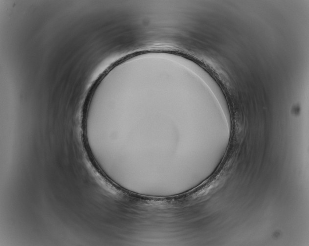 X0000099411422200805301336