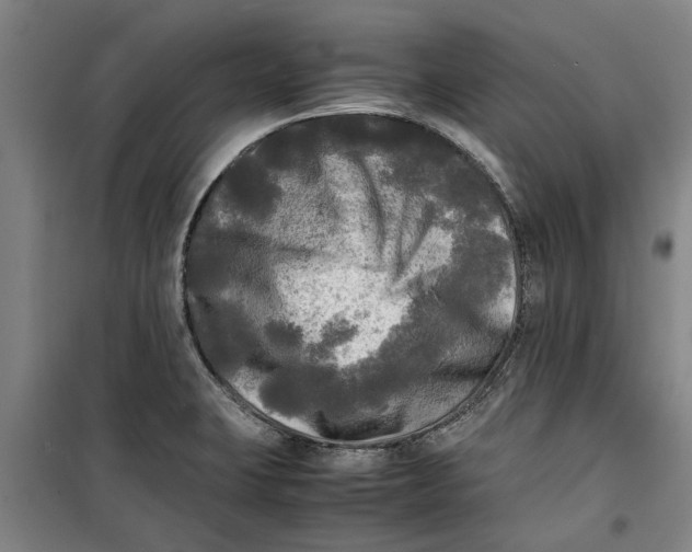 X0000099411423200805301336